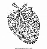 Strawberry Coloring Zentangle sketch template