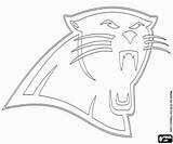 Panthers Colorear sketch template