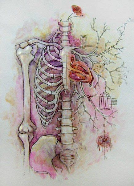 anatomy art illustration painting favimcom jpg   images art anatomy