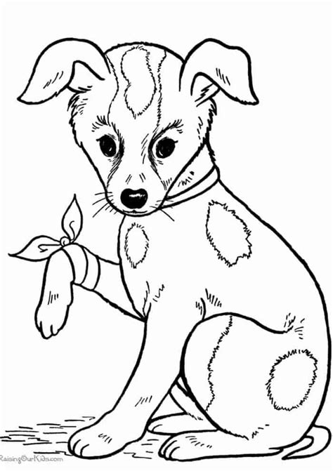 kitten  puppy coloring pages  puppy coloring pages puppy