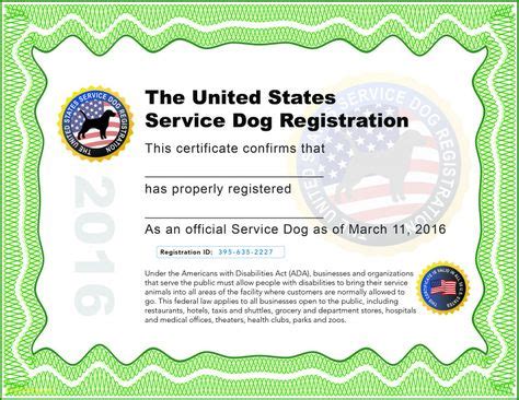service dog certificates ideas service dogs id card template