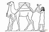 Camel Dromadaire Coloriage Egitto Cammello Antico sketch template