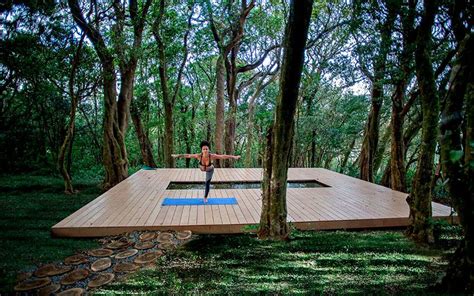 forest bathing  yoga deck  chayote lodge jardin de meditacion paisajismo de patio
