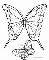 Butterfly Coloring Pages Kids Print Library Clipart sketch template