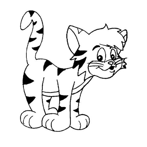 drawing cat  animals printable coloring pages