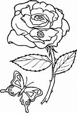 Cliparts Tattoo Snowdrop Flower Colorier Dessin sketch template