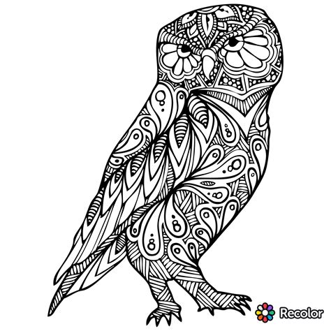 owl zentangle zentangle art zentangle patterns zentangles doodling