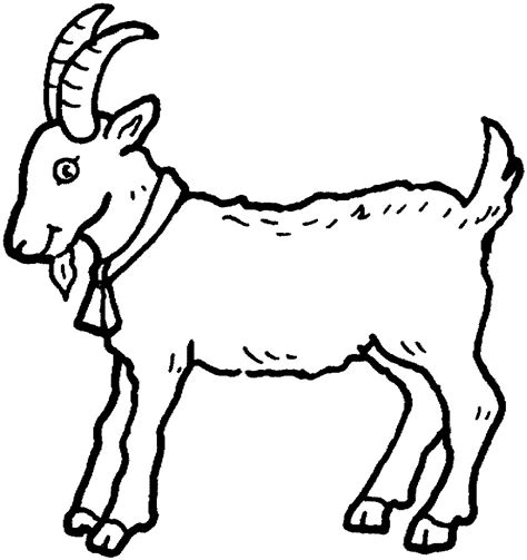 kids coloring pages animal goat prntable  print cartoon coloring pages
