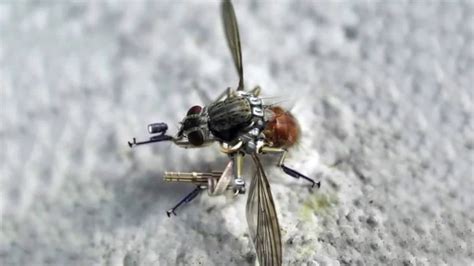 nano spy drone mosquito drone    military youtube
