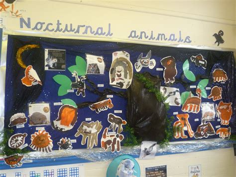 nocturnal animals animals painting