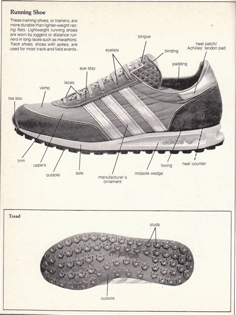 footwear anatomy images  pinterest shoe anatomy  anatomy reference