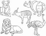 Animals Animal Coloring Pages Zoo sketch template