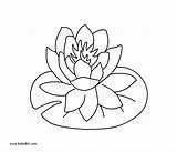 Lily Coloring Water Flower Pad Pages Printable Drawing Flowers Getdrawings Lilly Color Kids Colors Sheets Amazing Dot Drawings Paintingvalley Getcolorings sketch template