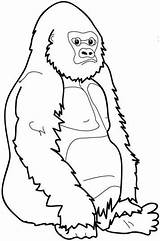 Gorilla Bokito Fun sketch template