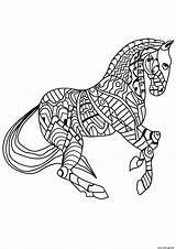 Cheval Adulte Paard Kleurplaat Cavallo Pferd Malvorlage Caballo sketch template