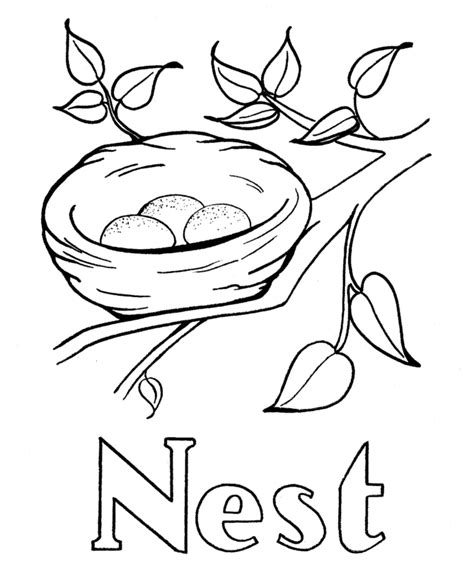 birds nest coloring page  kids coloring ws coloring home