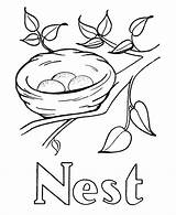 Nest Abc Colouring Printable Clipart Birds sketch template