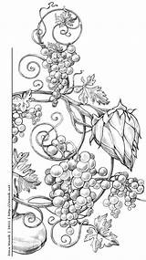 Coloring Grape Pages Exotic Vinnik Behance Adult Vines Absolut Irina Fruits Para Drawings Drawing Doodle Clip Artist Inspiration Pyrography Border sketch template