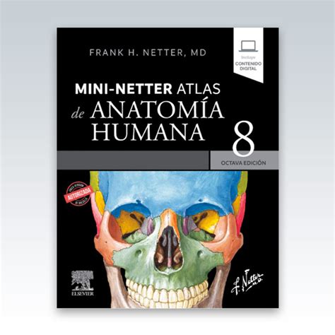 netter mini netter atlas de anatomia humana  edicion