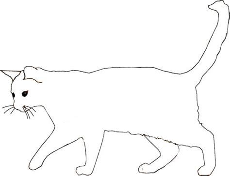 wild cat colouring page  printable