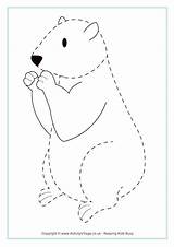 Tracing Groundhog Pages Animal Activities Pencil Trace Kids Preschool Activityvillage Children Hog Colour Practice Activity Control Worksheets Colouring Printables Ground sketch template