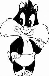 Looney Tunes Sylvester Daffy Warner sketch template