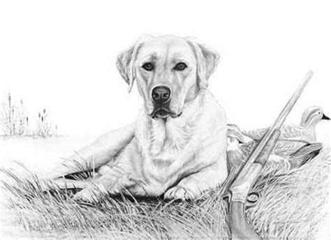 hunting dog paintings animal drawings dog drawing