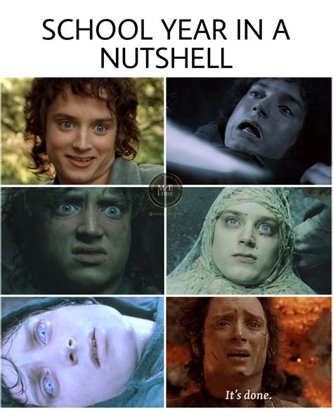 the many faces of frodo hobbit memes lotr funny lord of the rings