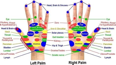 acupressure points chart  relieving pain acupressure points