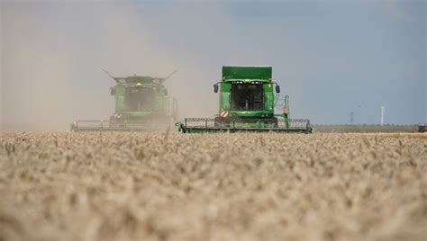 oogstvorderingen en export drukken tarweprijs analyse granen en grondstof boerenbusinessnl