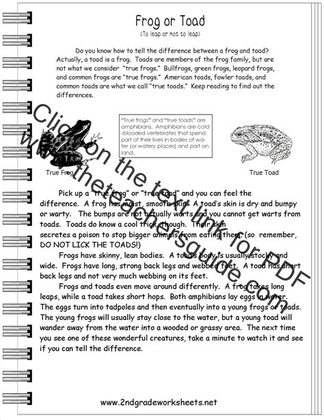 reading informational text worksheets