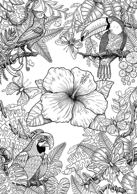 birds  behance   detailed coloring pages bird coloring pages