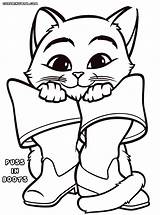 Puss Boots Coloring Pages Print Colorings Kitten sketch template