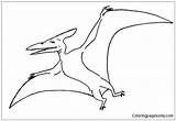 Pteranodon Pages Coloring Spread His Printable Online Wing Color Print Coloringpagesonly sketch template