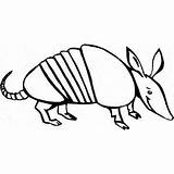 Armadillo Coloring Pages Printable Animals Color Animal Animalstown Choose Board sketch template