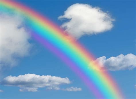 rainbow  prodigious