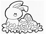 Easter Coloring Pages Bunny sketch template