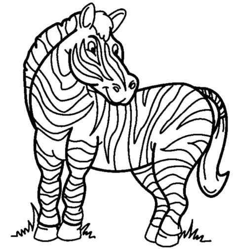 printable zebra coloring page coloringpagebookcom