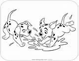 Coloring Puppies Pages Dalmatians Puddle Playing Water Disneyclips Printable Dalmatian Cruella sketch template