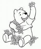 Pooh Winnie Homecolor sketch template
