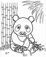 Panda Coloring Leans Mitraland sketch template