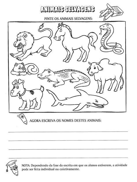 animais domÉsticos e selvagens atividades e desenhos ii