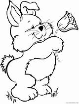 Bunny Coloring Coloring4free Pages Holding Flower Related Posts sketch template