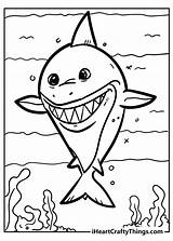 Shark Sharks sketch template