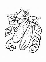 Cucumber Included Coloriage Melon Cucumbers Gaddynippercrayons sketch template