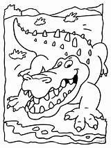 Wilde Krokodil Kleurplaat Kleurplaten Knutselen Knutselpagina 1385 sketch template