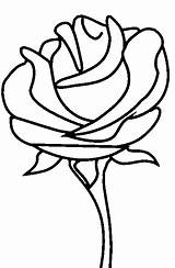 Pages Coloring Rose sketch template