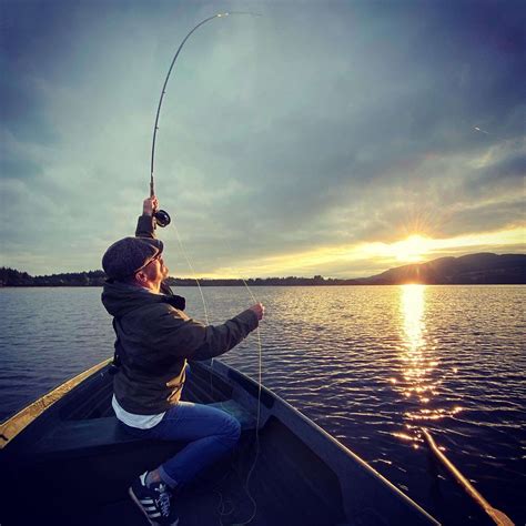 fishing lochend chalets   lake  menteith
