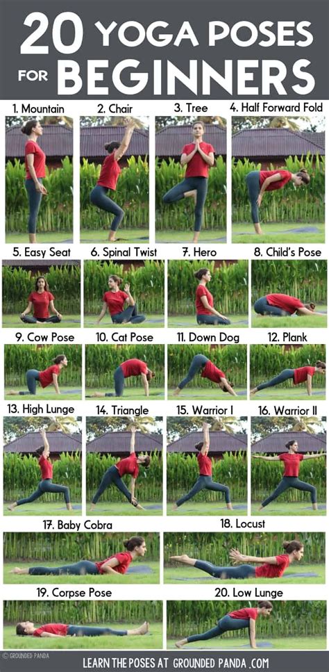 yoga poses  beginners  yoga poses  complete beginners