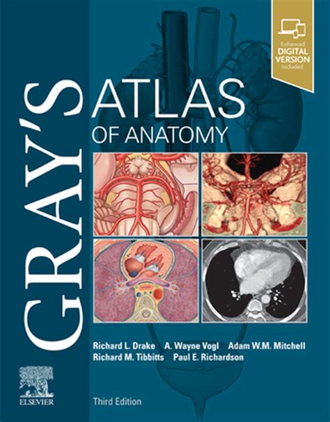 grays atlas  anatomy  edition  knowdemia